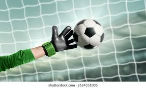 林泓育捕手核心价值